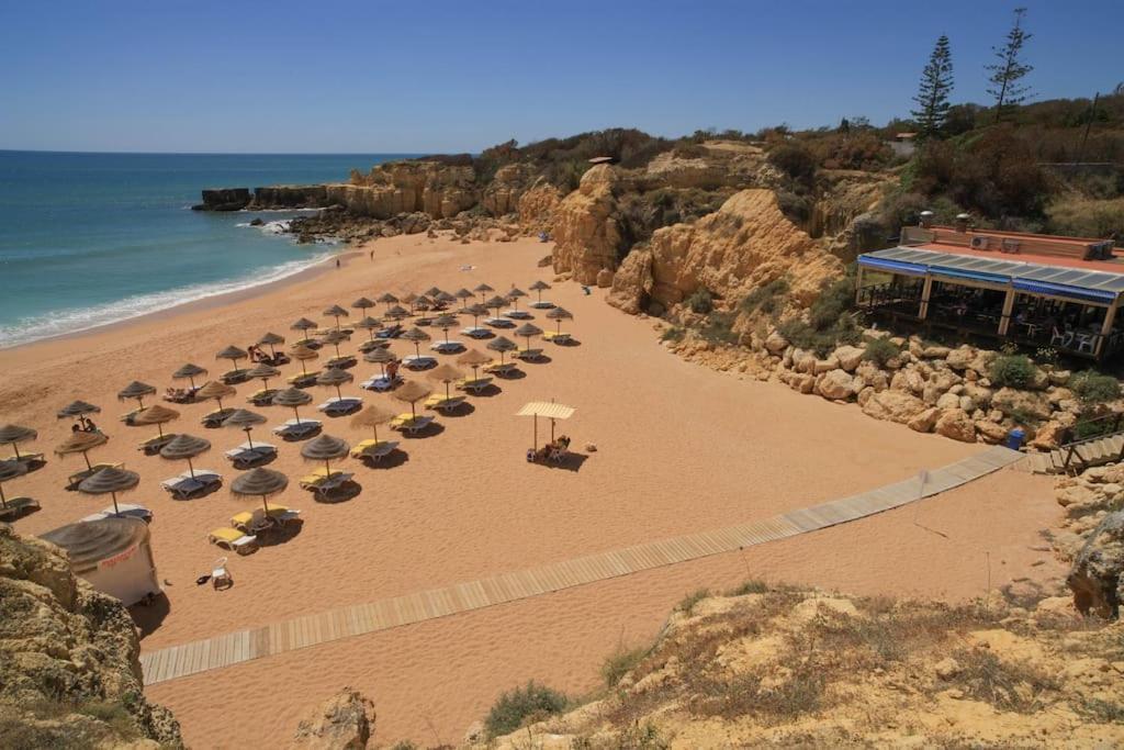 Superbe Paradis Dans Les Jardins De La Marina 알부페이라 외부 사진